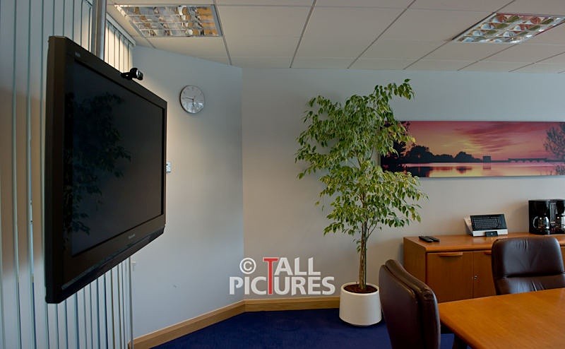 Avolution_Photoshoot-9-13 - COMPANY BOARDROOM & MEETING ROOM