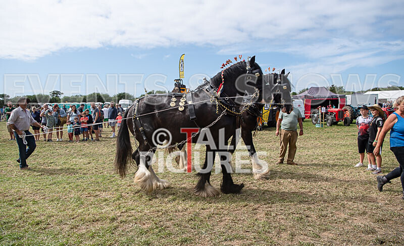 Guernsey Agricultural Show 2021-168 - GUERNSEY AGRICULTURAL SHOW 2021