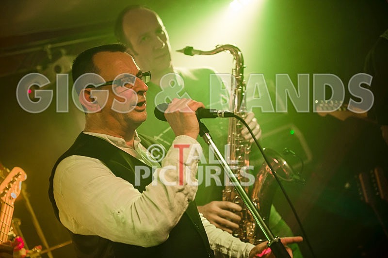 Elysium-201 - ELYSIUM