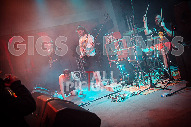Pigsx7-78 - PIGS PIGS PIGS PIGS PIGS PIGS PIGS