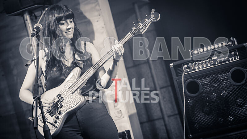The Tarantulips-7 - THE TARANTULIPS