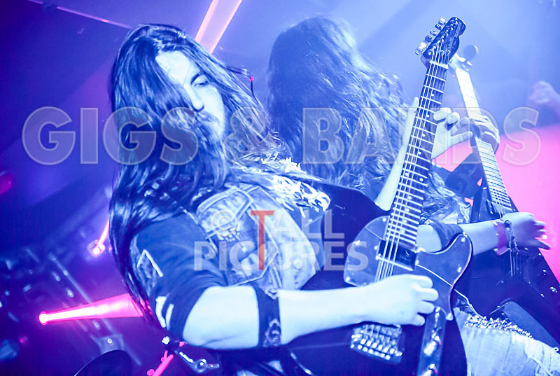 Stone Em All-233 - STONE EM ALL