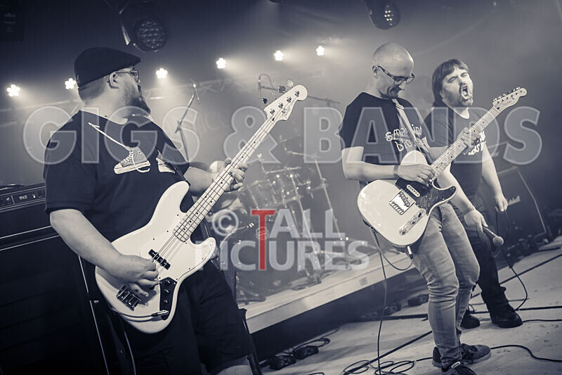 Foxy Stoat Seeks Pig-10 - FOXY STOAT SEEKS PIG