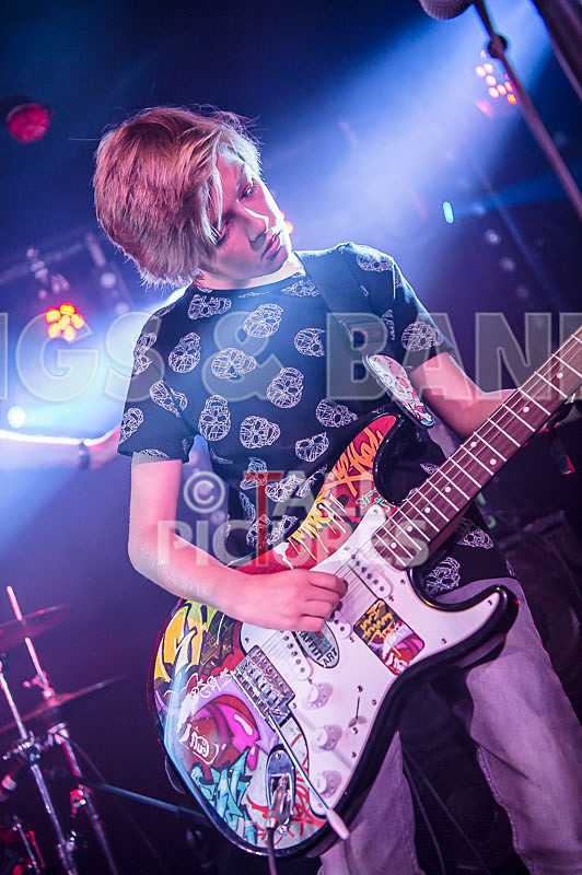 The Lemmings-26 - THE LEMMINGS