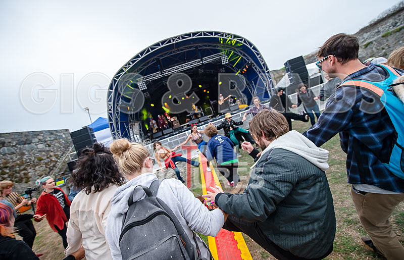 Vale Earth Fair 2018_SCENE-64 - VALE EARTH FAIR 2018_THE SCENE