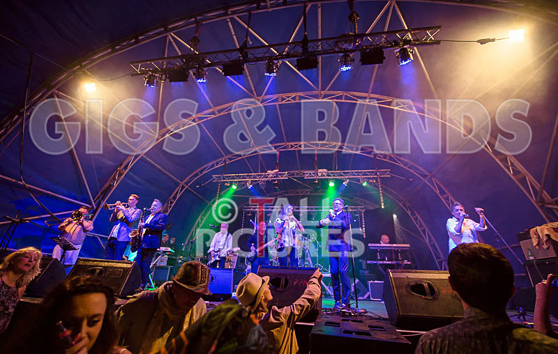 King Rat and the Soul Cats-293 - KING RAT AND THE SOUL CATS