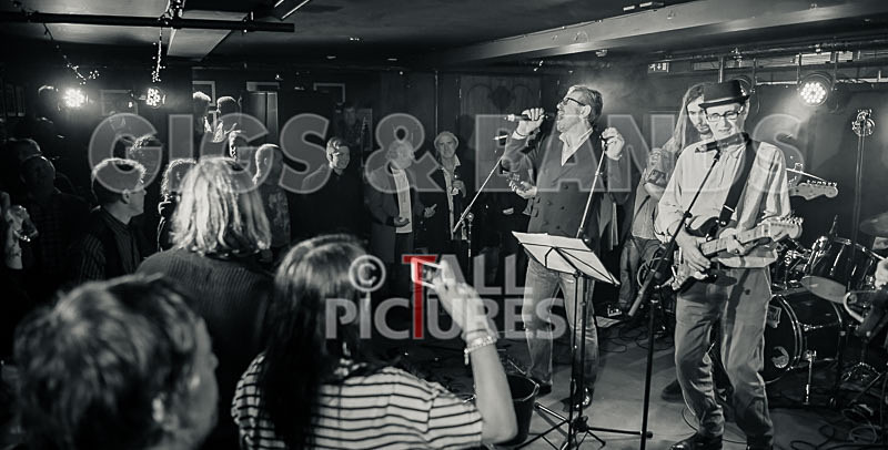 Alfie Bartons 25th Anniversary Gig-157 - ALFIE BARTON'S 25th ANNIVERSARY SPECIAL