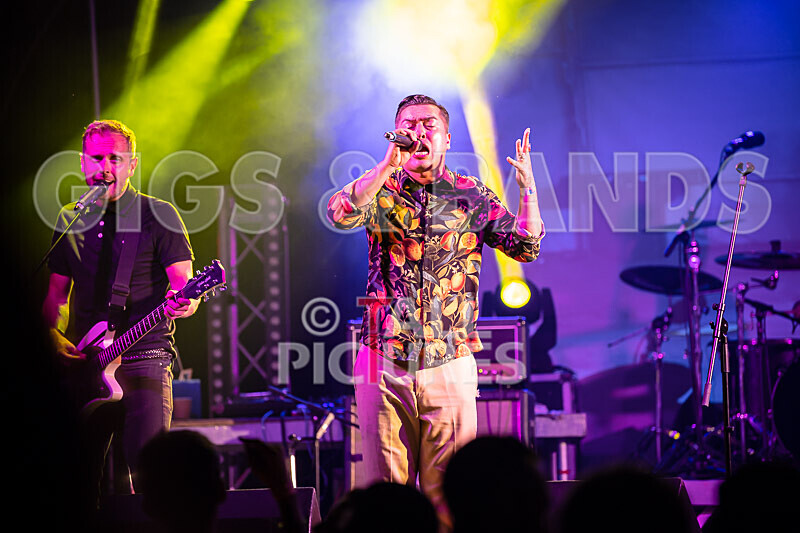 The King Blues-48 - THE KING BLUES