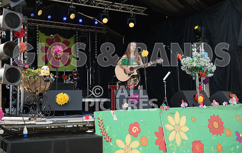 SoPM Vale Earth Fair-5 - SoPM on the VIEWALALU STAGE