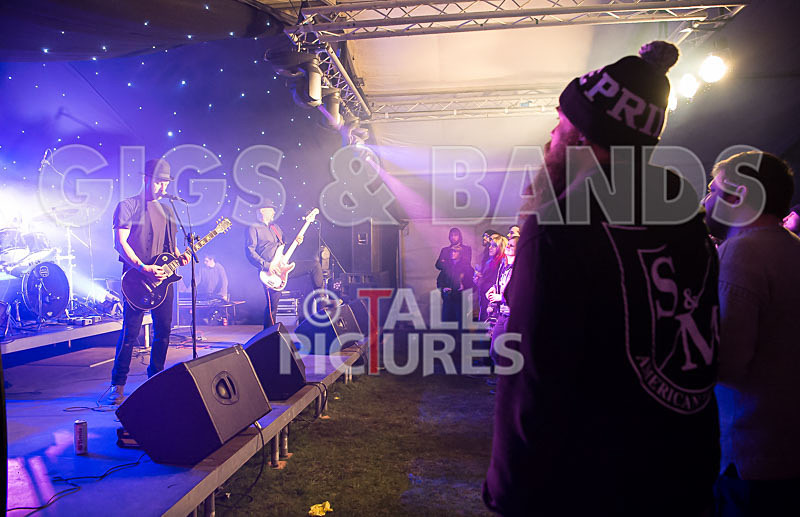 Peppered Ant Legs-161 - PEPPERED ANT LEGS