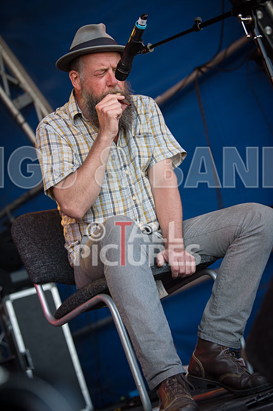 The Crowband-15 - THE CROWBAND