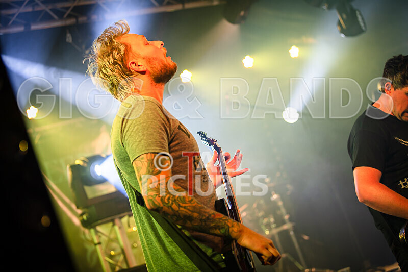 Granite Wolf-76 - GRANITE WOLF