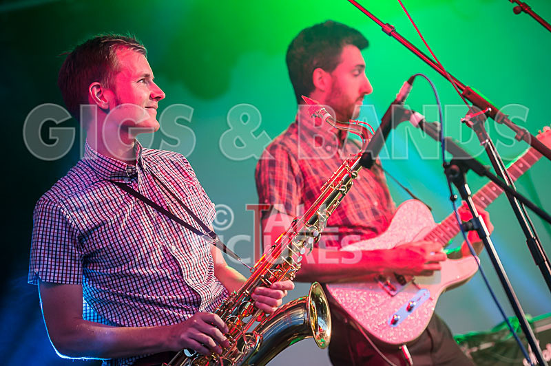 The Delegators-30 - THE DELEGATORS