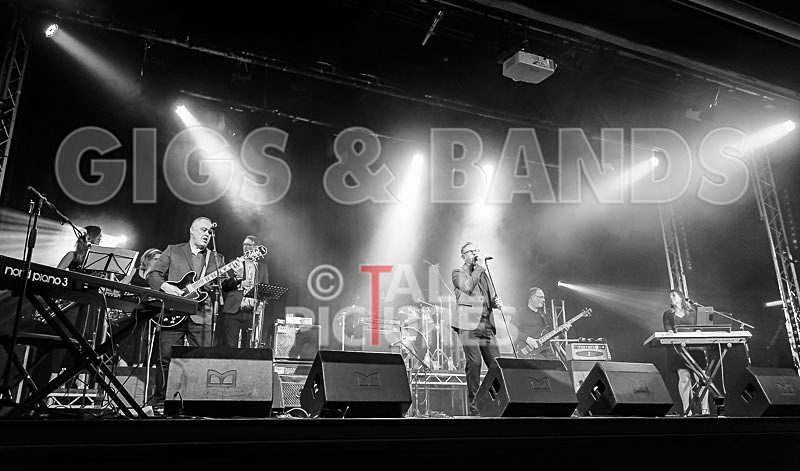 Harry Dean Junior and the New Breed-5 - HARRY DEAN JUNIOR AND THE NEW BREED