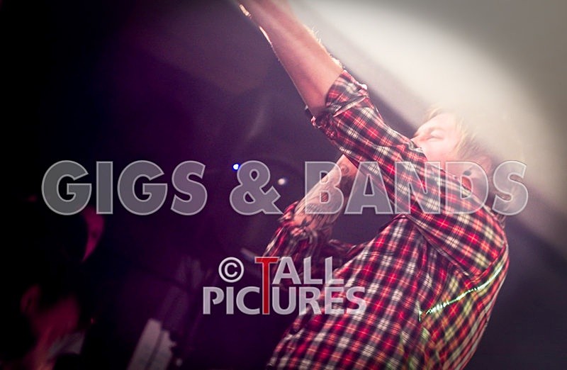 Brutus Stonefist-36 - BRUTUS STONEFIST at RoA-2