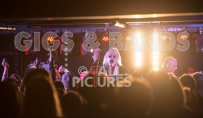 The Blockheads-18 - THE BLOCKHEADS