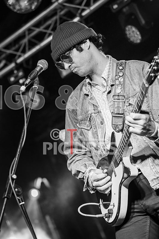 Surfin Birds-55 - SURFIN' BIRDS