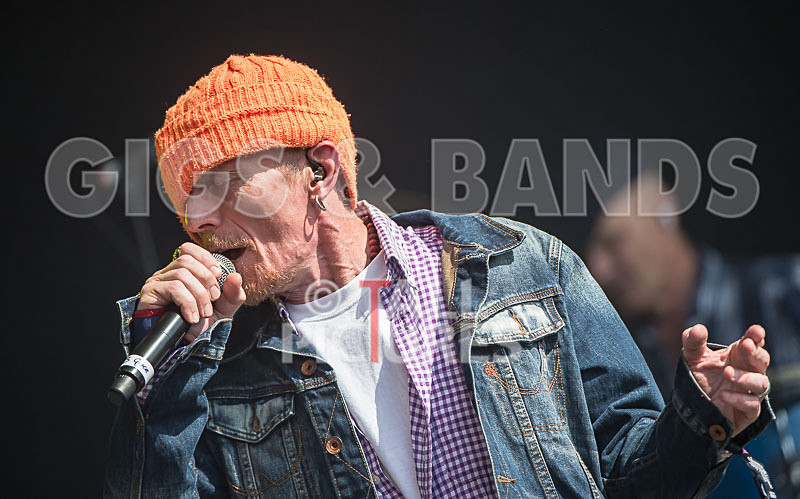 Stereo MCs-31 - STEREO MC's