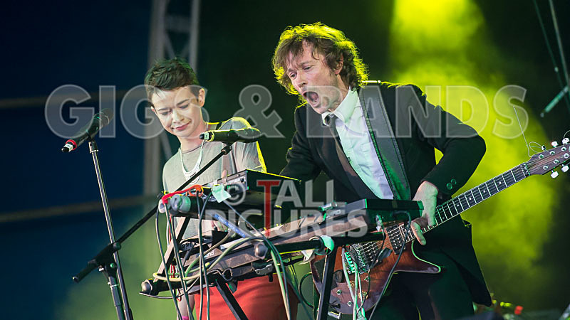 Vienna Ditto-1 - VIENNA DITTO