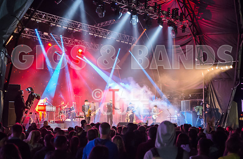 Madness-32 - MADNESS