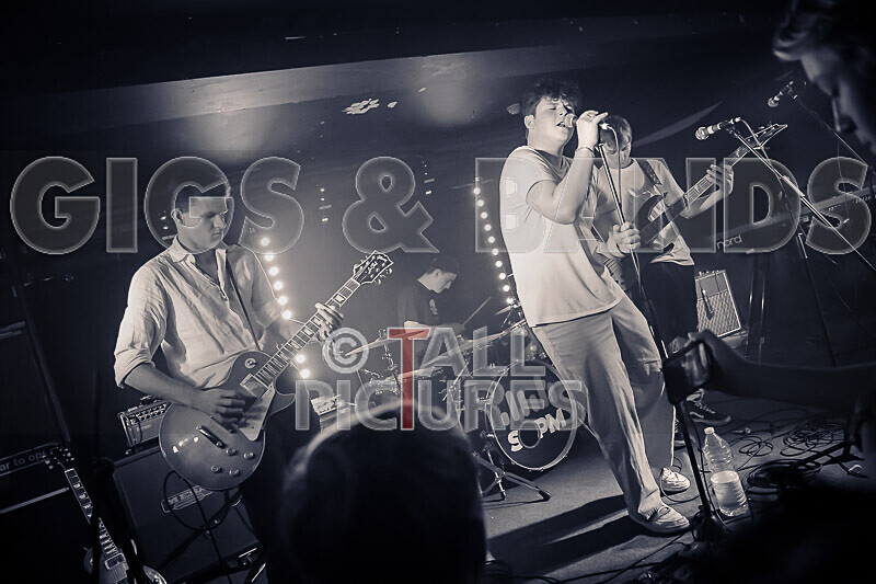 Black Dog-26 - BLACK DOG