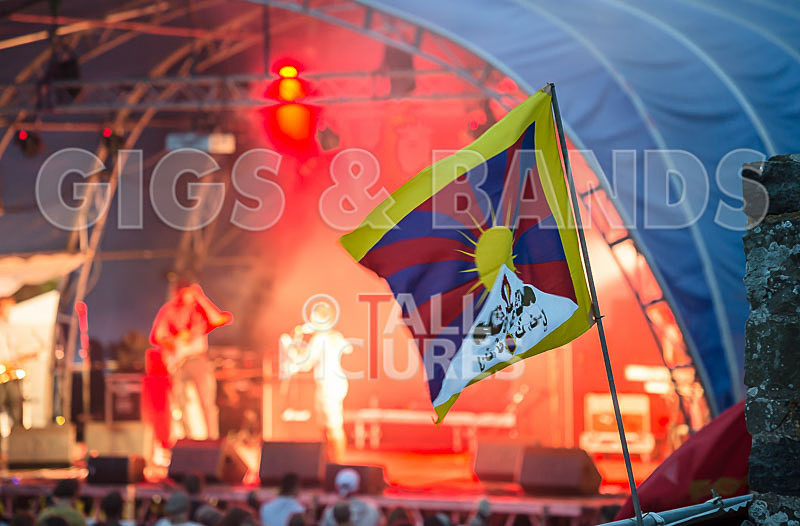 Vale Earth Fair_Atmosphere_2014-8 - VALE EARTH FAIR 2014 - THE ATMOSPHERE