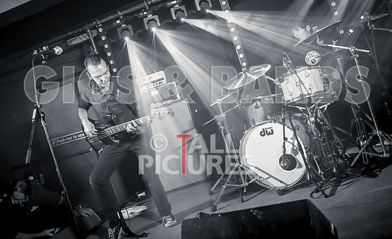 The Electric Shakes-123 - THE ELECTRIC SHAKES