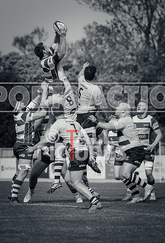 Guernsey Raiders v Canterbury RFC-4 - GUERNSEY RAIDERS v CANTERBURY RFC