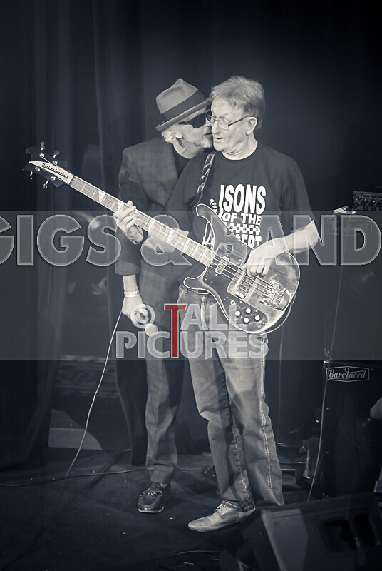 Sons of the Desert-378 - SONS OF THE DESERT