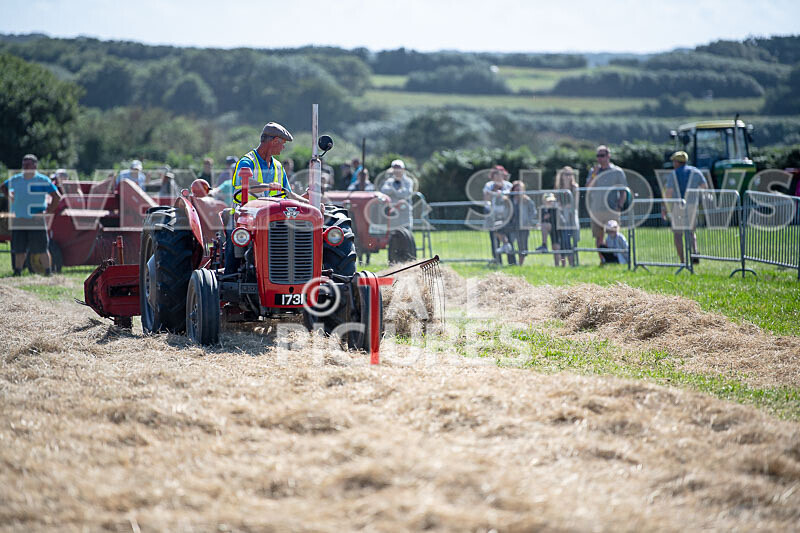 Guernsey Agricultural Show 2021-206 - GUERNSEY AGRICULTURAL SHOW 2021