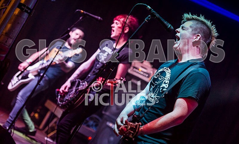 Roughneck Riot-8 - ROUGHNECK RIOT