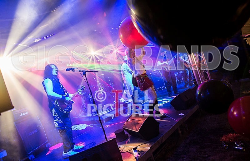 Gallus Cooper-62 - GALLUS COOPER