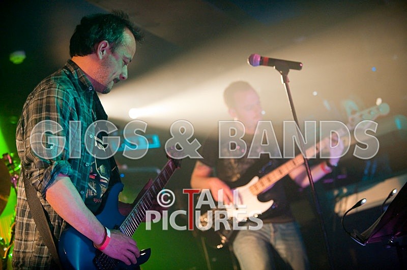 Elysium-50 - ELYSIUM