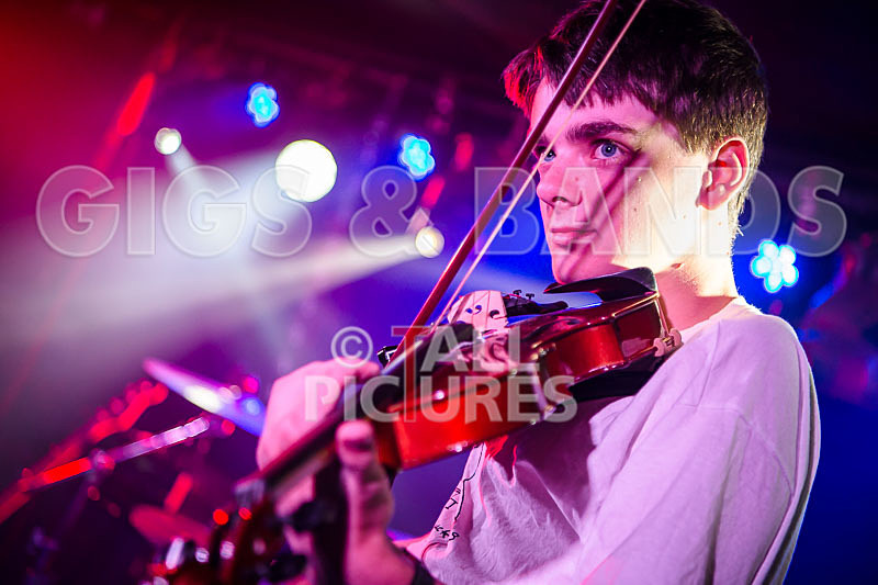 Unconventional Sponge-24 - UNCONVENTIONAL SPONGE