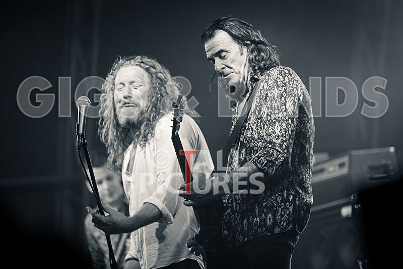 Letz Zeppelin-41 - LETZ ZEPPELIN