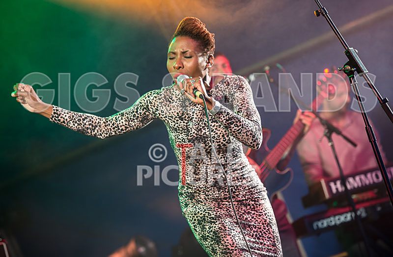 The Delegators-24 - THE DELEGATORS