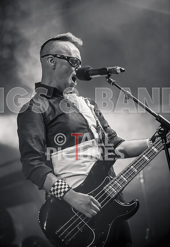 The Risk-446 - THE RISK