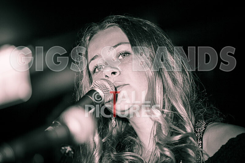 12 Gauge-39 - 12 GAUGE