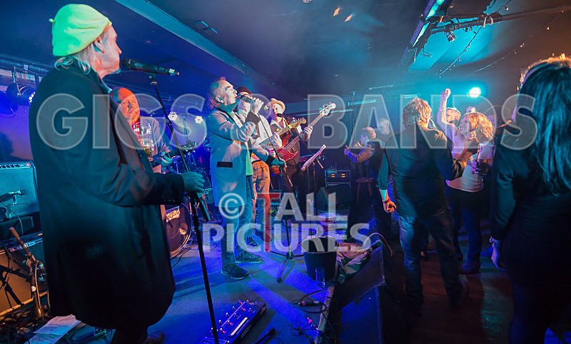 Alfie Bartons 25th Anniversary Gig-85 - ALFIE BARTON'S 25th ANNIVERSARY SPECIAL