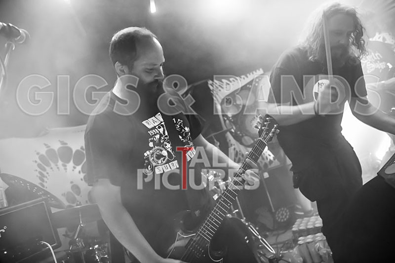 Mechanical Lobster-32 - MECHANICAL LOBSTER