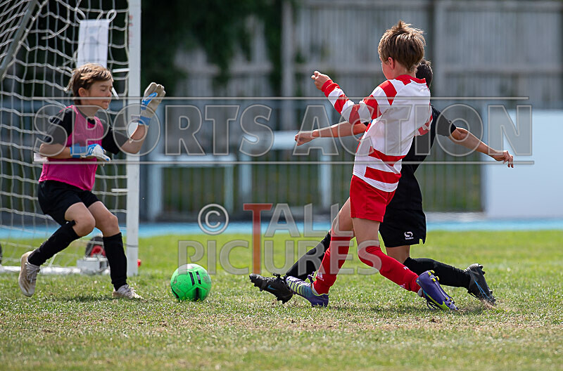 BWCI Mini Soccer Festival 2022-24 - BWCI MINI SOCCER TOURNAMENT