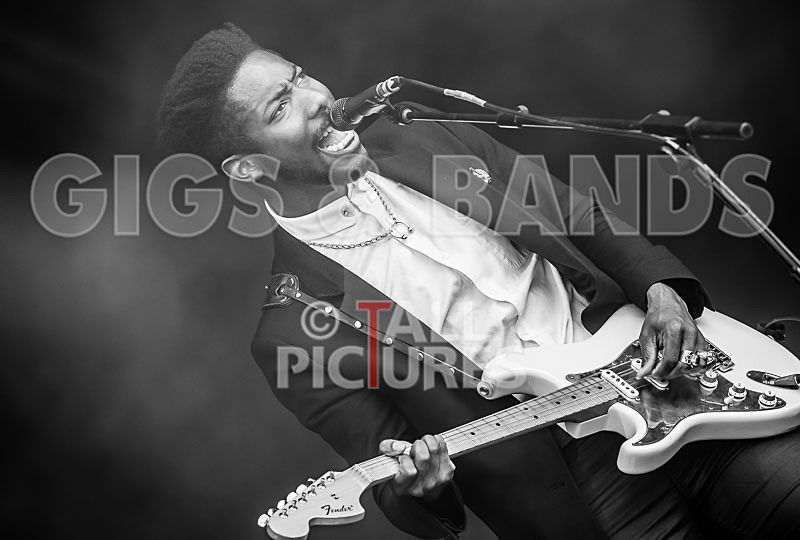 The Bohicas-16 - THE BOHICAS