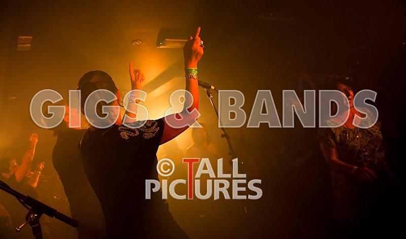 King Rat and the Soul Cats-87 - KING RAT & THE SOUL CATS