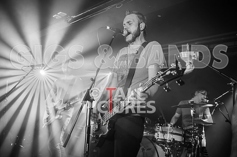 Black Capsule-24 - BLACK CAPSULE