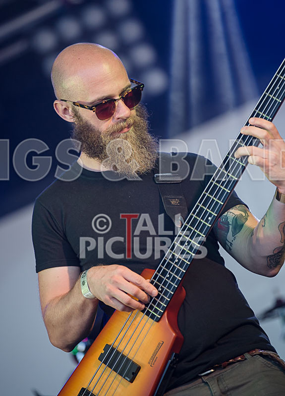 Tree House Fire-37 - TREE HOUSE FIRE