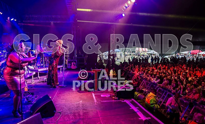 Macy Gray-40 - MACY GRAY