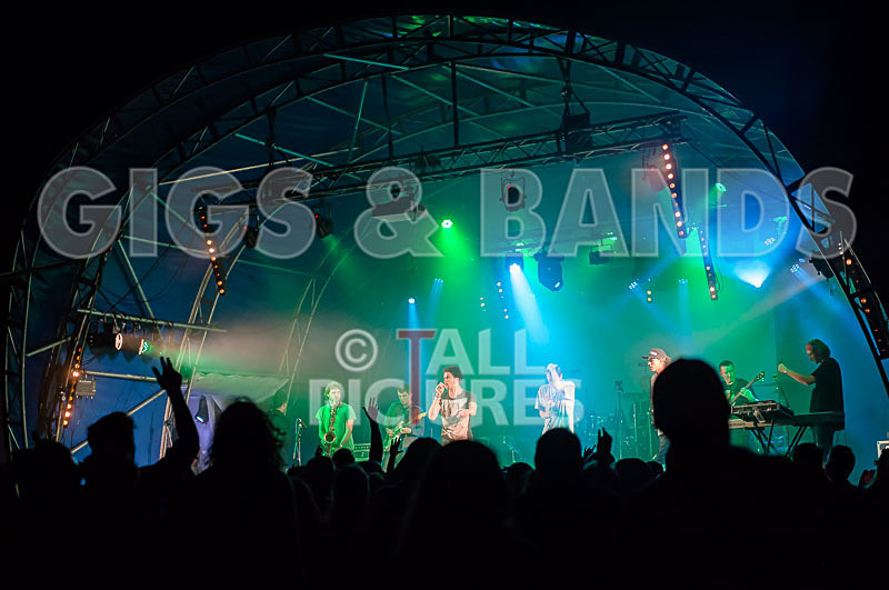 The Mouse Outfit-62 - THE MOUSE OUTFIT