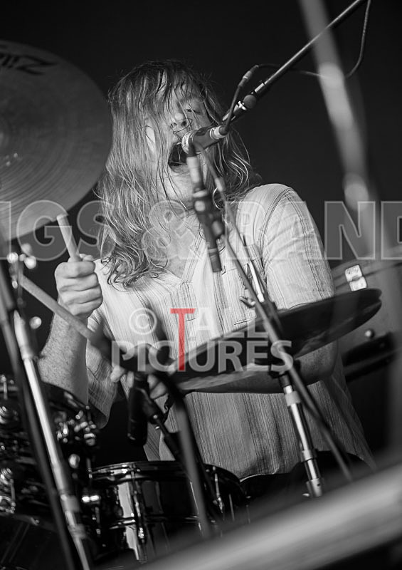 Palma Violets-20 - PALMA VIOLETS