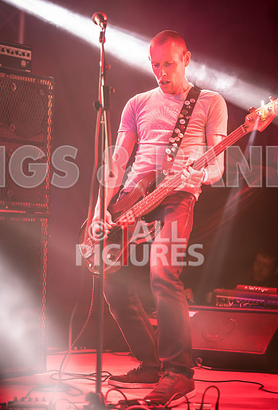 Falenizza Horsepower-78 - FALENIZZA HORSEPOWER