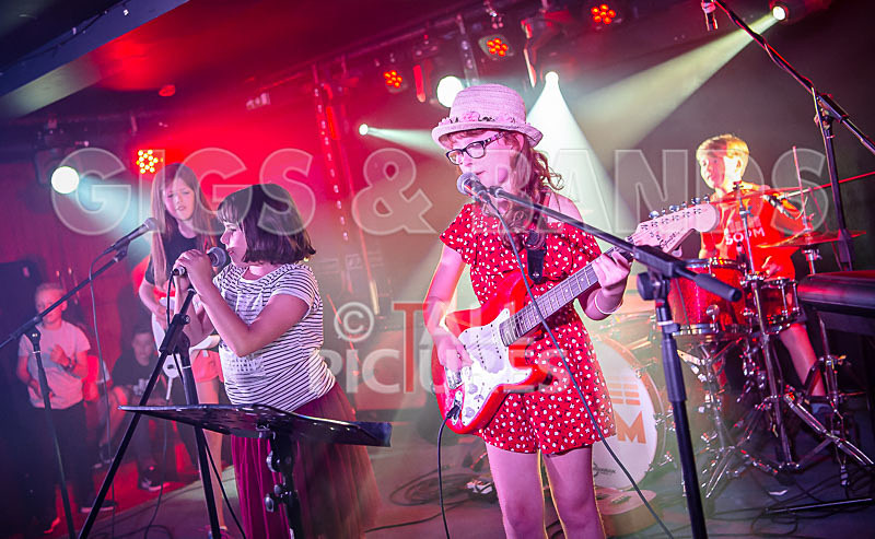 The Flaming Flamingos-28 - THE FLAMING FLAMINGOES